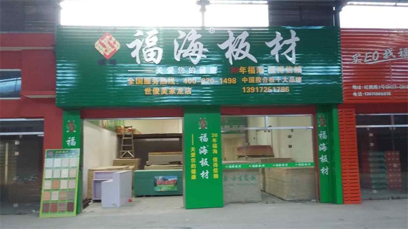 世俊美家龍店